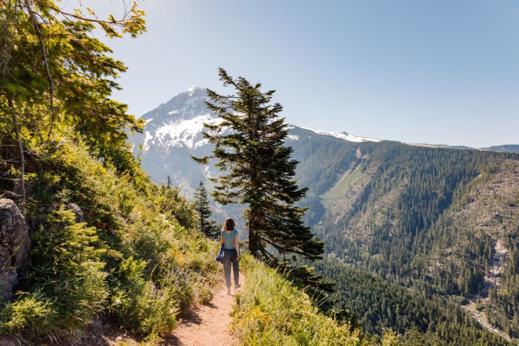 Walking in forest path, mountain in the background